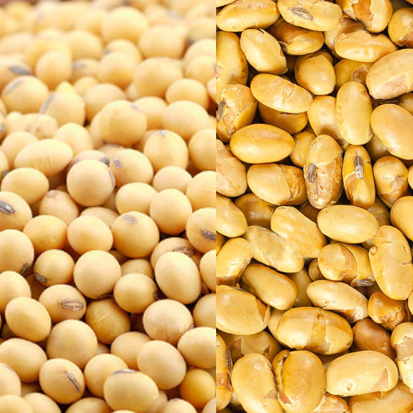 Soybeans