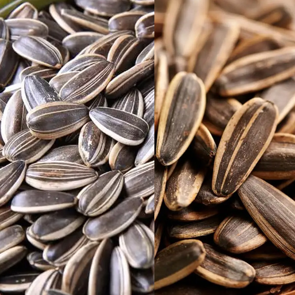 Sunflower Seeds