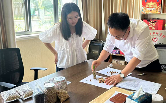 3. Sample Confirmation (7-15 Days)