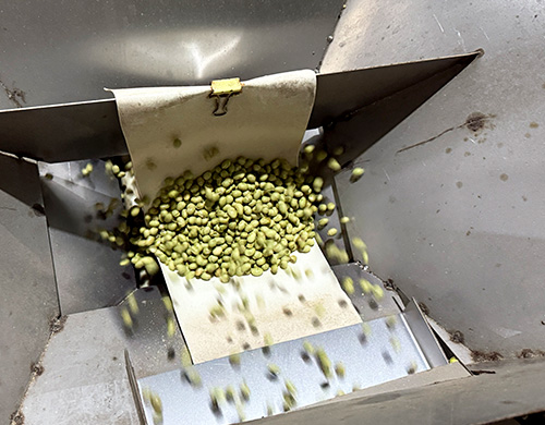 Standards & Certifications