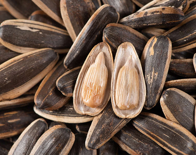 Tianyi Food Revolutionizes Sunflower Seeds Market with Heritage Roasting Techniques and Smart Agriculture.jpg