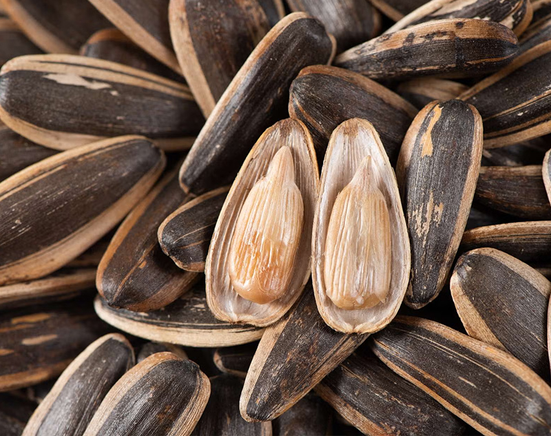 Tianyi Food Revolutionizes Sunflower Seeds Market with Heritage Roasting Techniques and Smart Agriculture.jpg