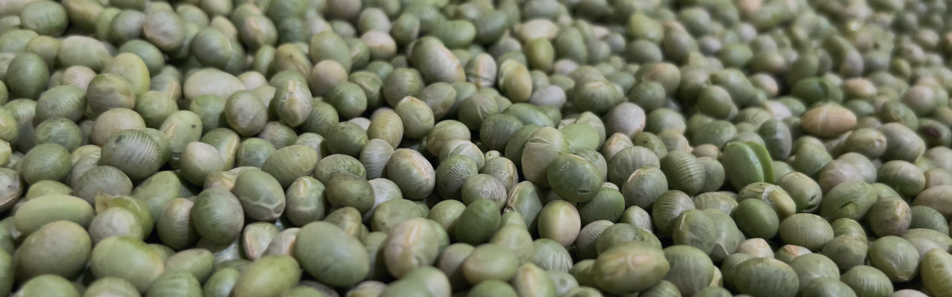 Tianyi CustomWorks – Formula, Packaging & Production in One