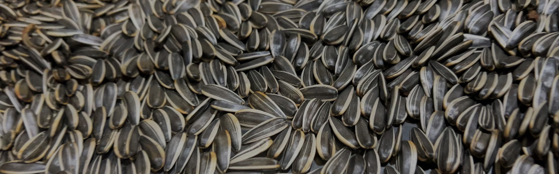 Tianyi CustomWorks – Formula, Packaging & Production in One