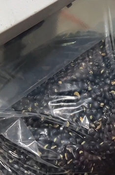 From Our Family to Yours