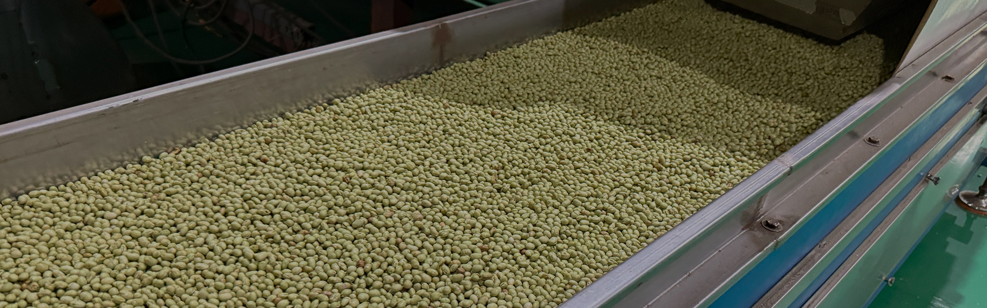 Tianyi CustomWorks – Formula, Packaging & Production in One