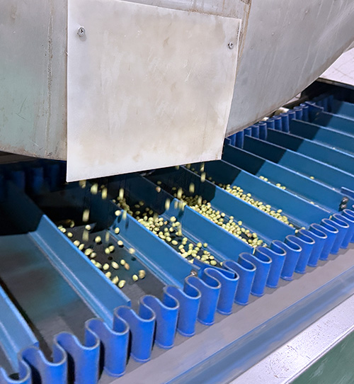 State-of-the-art Facility