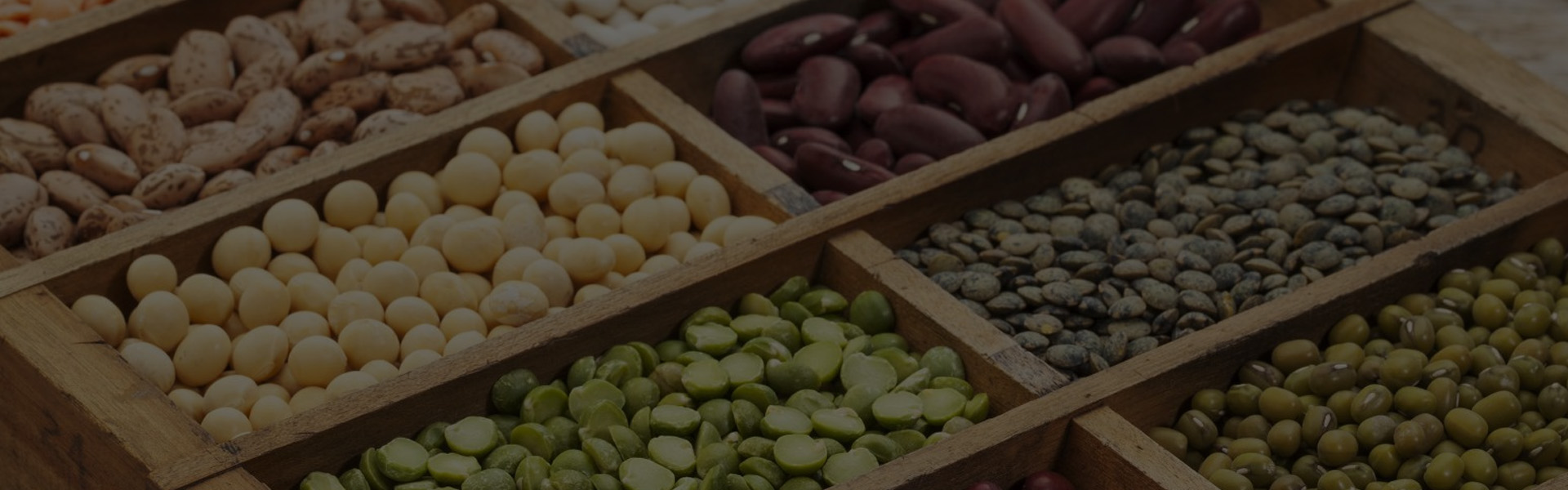 Tianyi CustomWorks – Formula, Packaging & Production in One