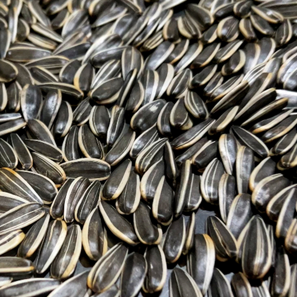 Sunflower seeds
