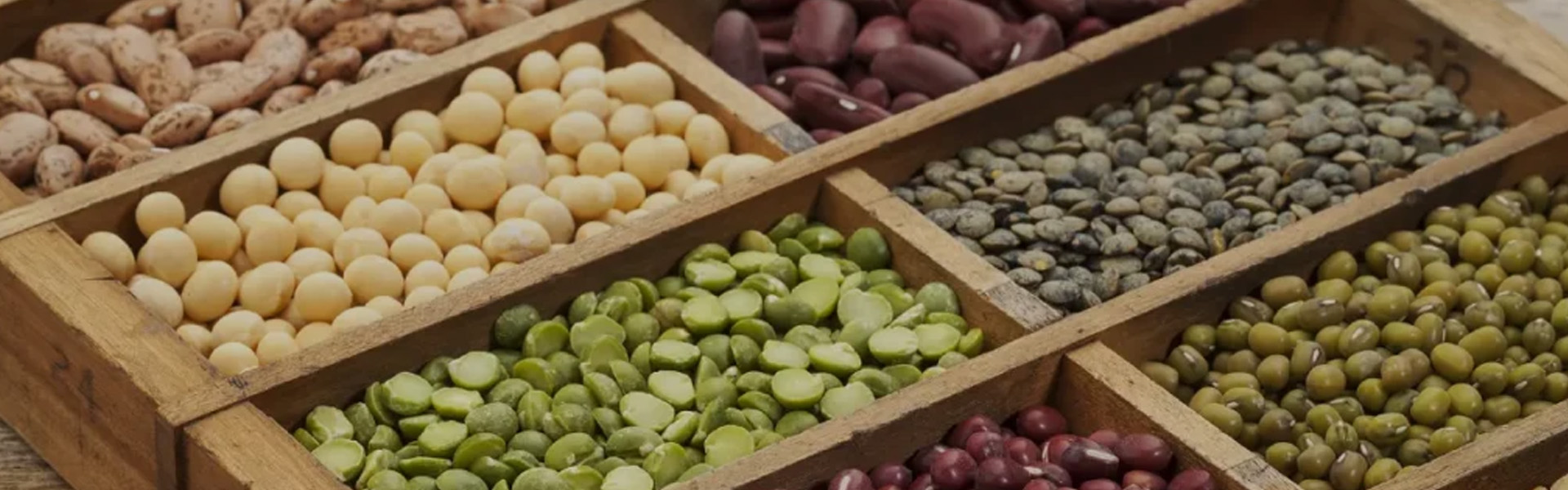 Tianyi CustomWorks – Formula, Packaging & Production in One